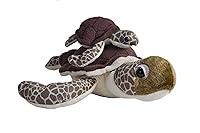 Algopix Similar Product 9 - WILD REPUBLIC Mom and Baby Sea Turtle