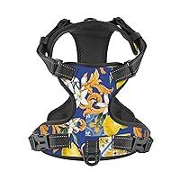 Algopix Similar Product 2 - Xiso Ver Sicilian Style Dog Harness