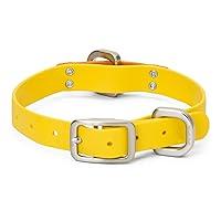 Algopix Similar Product 14 - WEST PAW Jaunts Dog Collar Small