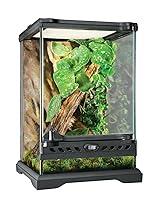 Algopix Similar Product 10 - Exo Terra Glass Natural Terrarium Kit