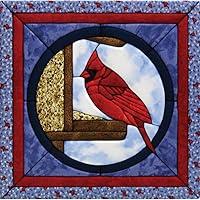 Algopix Similar Product 11 - Quilt Magic 12Inch by 12Inch Cardinal