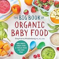 Algopix Similar Product 16 - The Big Book of Organic Baby Food Baby