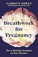 Algopix Similar Product 12 - Breathwork for Pregnancy How to Find