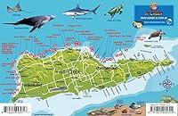 Algopix Similar Product 11 - St Croix USVI Dive Map Fish ID Virgin