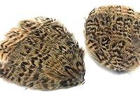 Algopix Similar Product 11 - 1 Piece  Natural Brown Hungarian