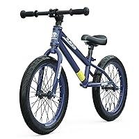 Algopix Similar Product 1 - GASLIKE 16 Inch Balance Bike for Big