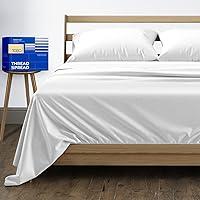Algopix Similar Product 3 - THREAD SPREAD 100 Pure Egyptian Cotton