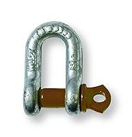 Algopix Similar Product 9 - Titan 10319063 D Type Anchor Shackle