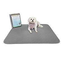 Algopix Similar Product 8 - Kluein Pet Washable Pee Pads for Dogs