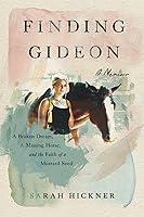 Algopix Similar Product 1 - Finding Gideon A Broken Dream a