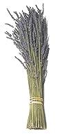 Algopix Similar Product 19 - Findlavender  Lavender Dried Premium