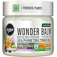 Algopix Similar Product 16 - Tea Tree Oil Balm Extra Strength Pair