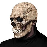 Algopix Similar Product 9 - KatchOn Creepy Halloween Skull Mask