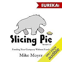 Algopix Similar Product 6 - Slicing Pie Funding Your Company