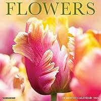 Algopix Similar Product 18 - Flowers 2025 12" x 12" Wall Calendar