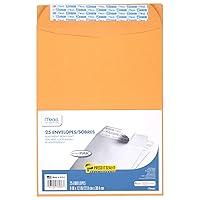 Algopix Similar Product 16 - Mead Letter Size Mailing Envelopes