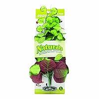 Algopix Similar Product 10 - Marina Naturals Pennywort Silk Plant