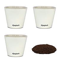 Algopix Similar Product 15 - Window Garden Self Watering Planters 