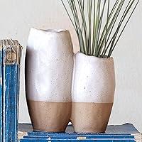 Algopix Similar Product 11 - Creative CoOp 2Tone Stoneware Vase