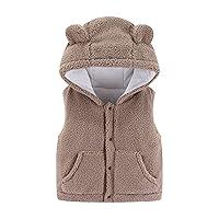 Algopix Similar Product 4 - Baby Girl Boy Fleece Hooded Jacket Vest