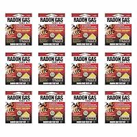 Algopix Similar Product 18 - Professional Lab RA100 Radon Gas Test