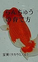 Algopix Similar Product 2 - How to grow Goldfish Ranchu Japanese