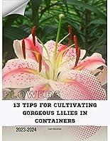 Algopix Similar Product 4 - 13 Tips For Cultivating Gorgeous Lilies