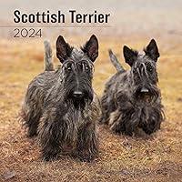 Algopix Similar Product 9 - MegaCalendars  Scottish Terrier