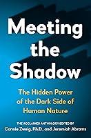 Algopix Similar Product 9 - Meeting the Shadow The Hidden Power of