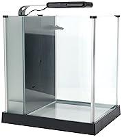 Algopix Similar Product 2 - Fluval SPEC Freshwater Aquarium Kit