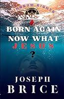 Algopix Similar Product 17 - Born Again Now What Jesus?: BEGIN AGAIN