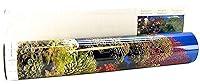 Algopix Similar Product 18 - Coral Background Double Sided, 19" x 50"