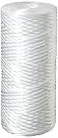 Algopix Similar Product 15 - Pentair Pentek WPX10BB97P Big Blue