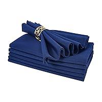 Algopix Similar Product 4 - Cloth Napkins Set of 2 Washable Dinner