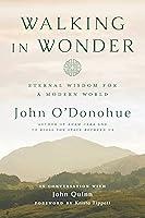 Algopix Similar Product 3 - Walking in Wonder Eternal Wisdom for a
