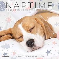 Algopix Similar Product 6 - Willow Creek Press Naptime Dogs