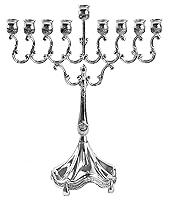 Algopix Similar Product 19 - Silver Plated Candle Menorah  Fits all