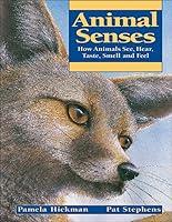 Algopix Similar Product 18 - Animal Senses How Animals See Hear