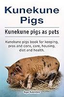 Algopix Similar Product 6 - Kunekune pigs Kunekune pigs as pets