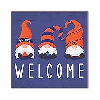 Algopix Similar Product 12 - Fan Creations Florida Welcome Gnomes