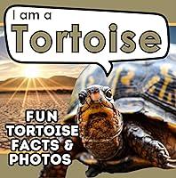 Algopix Similar Product 5 - I am a Tortoise A Childrens Book with