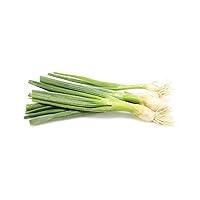 Algopix Similar Product 2 - Organic Green Onion (Scallions), 1 Bunch