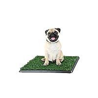 Algopix Similar Product 14 - Artificial Grass Puppy Pee Pad for Dogs