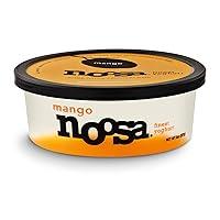 Algopix Similar Product 15 - noosa Yoghurt Mango 8 oz Whole Milk