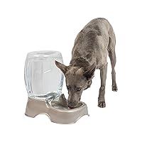 Algopix Similar Product 10 - Petmate Pet Cafe Waterer Cat and Dog