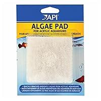 Algopix Similar Product 16 - Algae Hand Pad For Acrylic