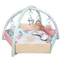 Algopix Similar Product 2 - Baby Gym Play Mat 8in1 Tummy Time