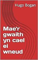 Algopix Similar Product 8 - Maer gwaith yn cael ei wneud Welsh