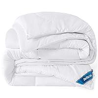 Algopix Similar Product 10 - Bedsure Comforters Queen Size Duvet