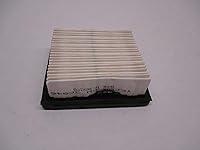 Algopix Similar Product 5 - Genuine Tecumseh 36046 Air Filter OEM